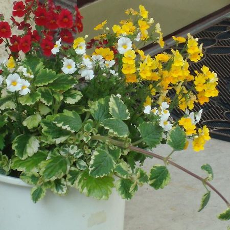 Mühlheim Hotel Gartenhof מראה חיצוני תמונה