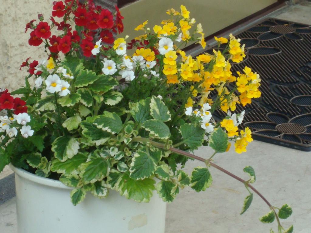 Mühlheim Hotel Gartenhof מראה חיצוני תמונה